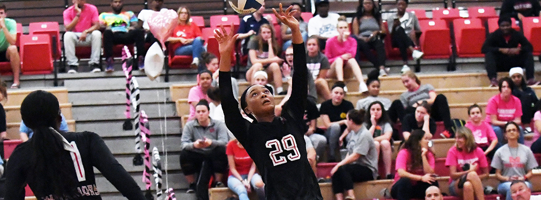 East Stroudsburg Volleyball Camps